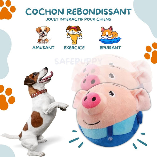 Cochon Rebondissant