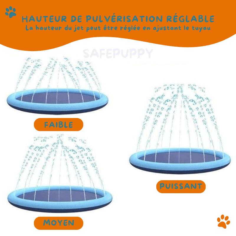 Piscine Rafraîchissante SplashPuppy