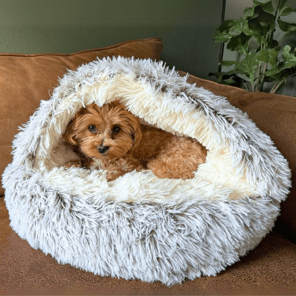 CozyPuppy - Lit pour chien