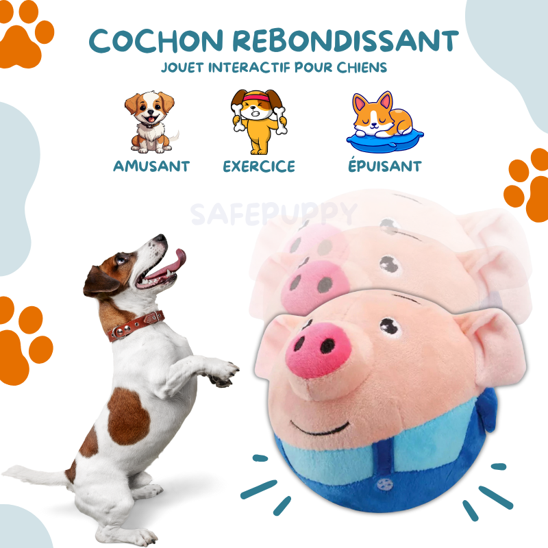 Cochon Rebondissant