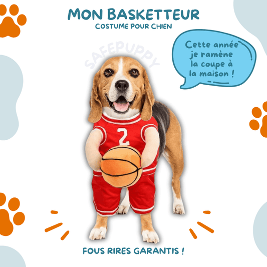 Mon Basketteur - Costume pour Chien