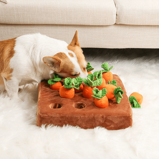Jardin à Carottes - À la Recherche du Trésor Caché