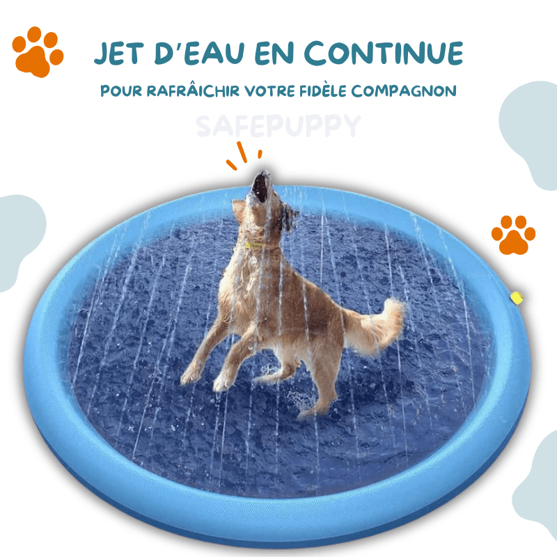 Piscine Rafraîchissante SplashPuppy