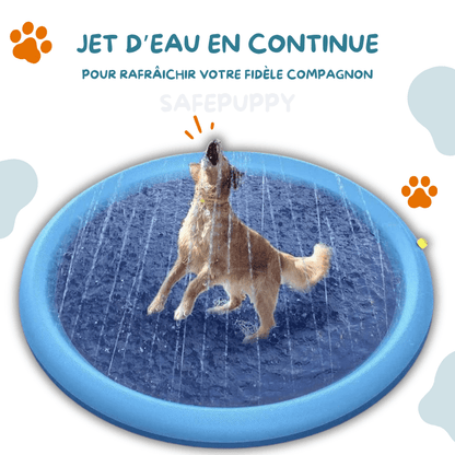 Piscine Rafraîchissante SplashPuppy