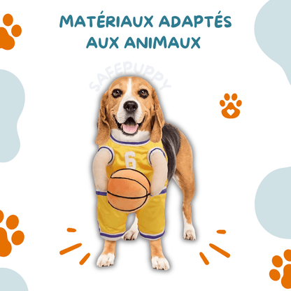 Mon Basketteur - Costume pour Chien