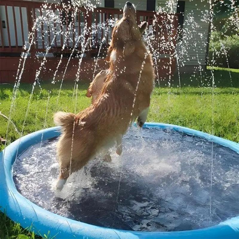 Piscine Rafraîchissante SplashPuppy