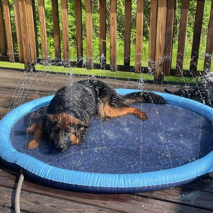 Piscine Rafraîchissante SplashPuppy