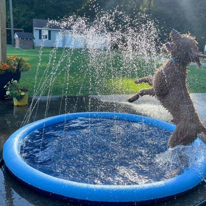 Piscine Rafraîchissante SplashPuppy